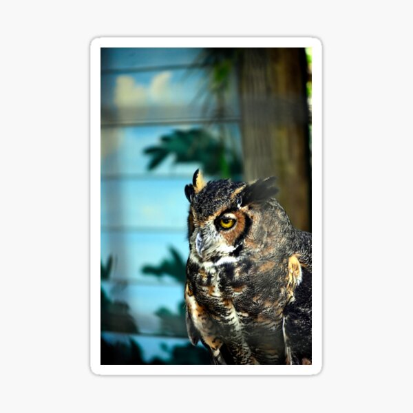 Item preview, Great Horned Owl  designed and sold by MercerImages.