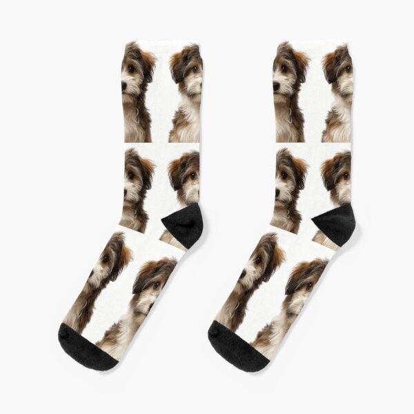 Artikel-Vorschau von Entzückendes Baby-Havaneser für süße Havaneser-Welpenliebhaber, designt und verkauft von LazyOwlStore.