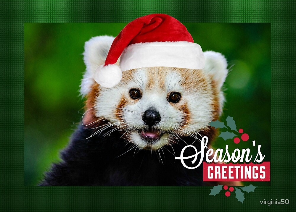 red panda with santa hat