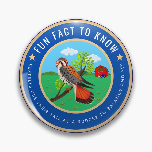 Item preview, Fun fact to know Kestrels use their tail as a rudder to balance and fly designed and sold by fev-rocks.