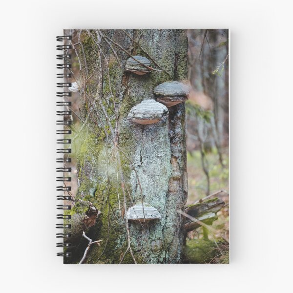 Item preview, Woodland Layers – Fungi on Ancient Tree designed and sold by alicjamiekina.