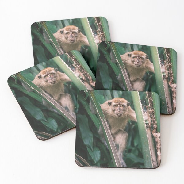 Item preview, Monkey look into the eyes designed and sold by YoannJPEG.