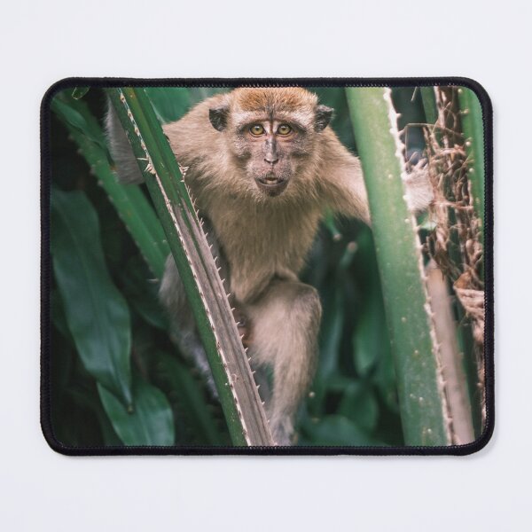 Item preview, Monkey look into the eyes designed and sold by YoannJPEG.