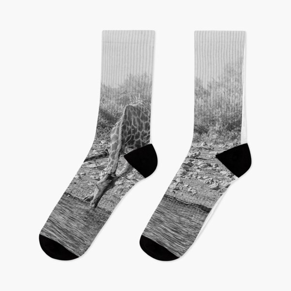 Item preview, Giraffe drinking at water hole in black and white designed and sold by Photopat.