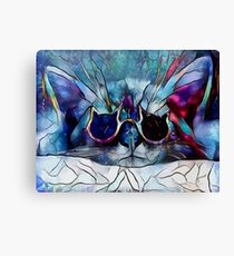 Sleepy Kitten Canvas Print