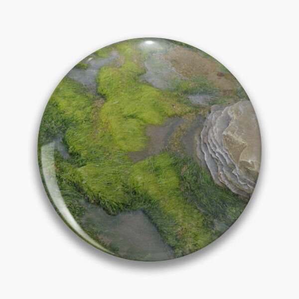 Item preview, Seaweed Cellardyke designed and sold by Doug Cook.
