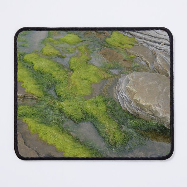 Item preview, Seaweed Cellardyke designed and sold by Doug Cook.
