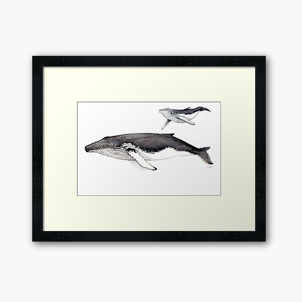 Item preview, North Atlantic humpback whale designed and sold by chloeyzoard.