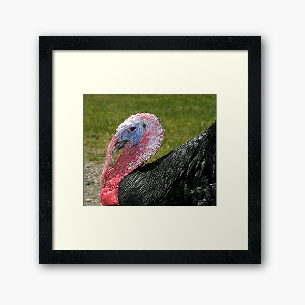 A Face Only A Mother Could Love Framed Art Print