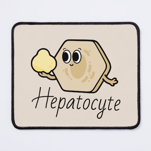 Item preview, Cute Hepatocyte (Liver cell) - Cute Cell Types designed and sold by MicroMarket.