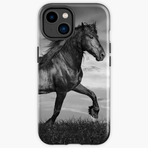 Étalon frison noir se faufiler à travers le champ Coque antichoc iPhone