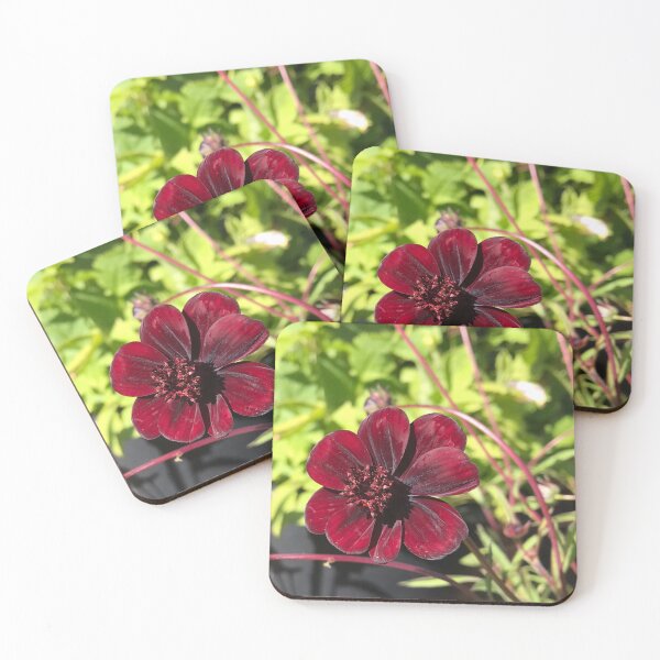 Item preview, Think of Chocolate designed and sold by JuleZ54.