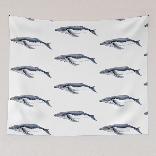 Item preview, Humpback whale (Megaptera novaeangliae)  designed and sold by chloeyzoard.
