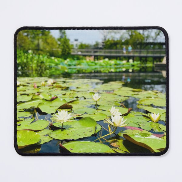 Item preview, Water Lillies in Cary, NC designed and sold by AtlasInFocus.