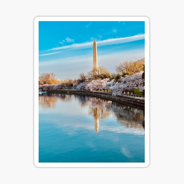 Item preview, Cherry Blossoms Blooming in Washington DC designed and sold by AtlasInFocus.