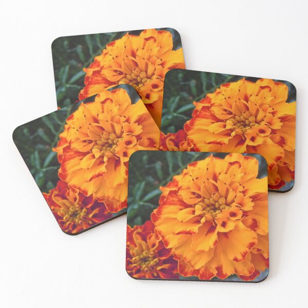 Item preview, Marigold designed and sold by Jenn Brody.