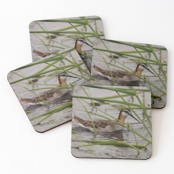 Item preview, Wilson's Phalarope designed and sold by Alyce Taylor.