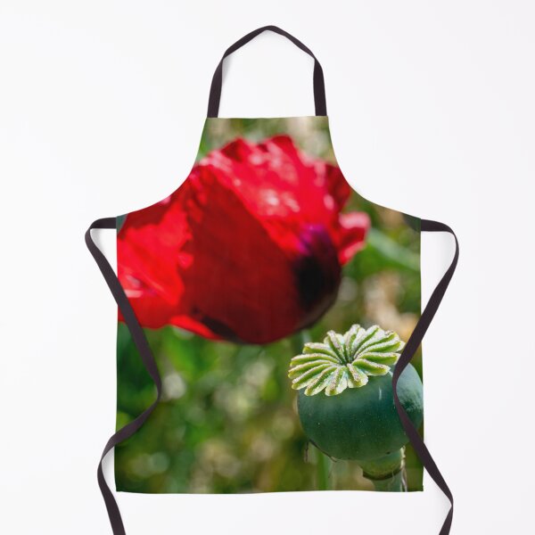 Item preview, Poppy seed pod with blooming red poppy in the background designed and sold by lisavonbiela.