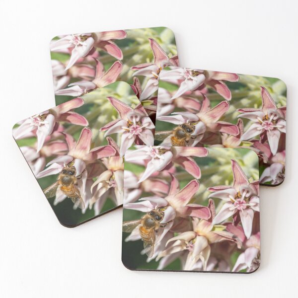 Item preview, Bee feeding on showy milkweed designed and sold by lisavonbiela.