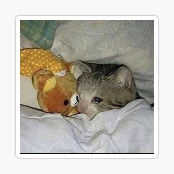 Artikel-Vorschau von Traurige Katze im Bett, designt und verkauft von jooosh19.