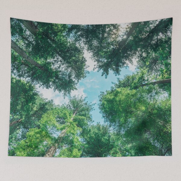 Item preview, Evergreen Forest Canopy – Misty Mountain Trees & Sky View designed and sold by artcascadia.