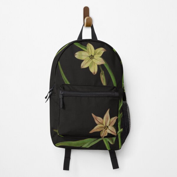 Item preview, Botanical Illustration of Milla uniflora Varieties: Conspicua & Violacea designed and sold by MaPerle.