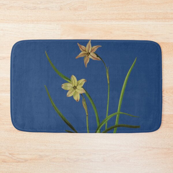 Item preview, Botanical Illustration of Milla uniflora Varieties: Conspicua & Violacea designed and sold by MaPerle.