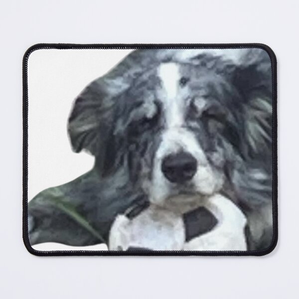 Item preview, Blue Merle Border Collie. with ball. designed and sold by Ferndragons.