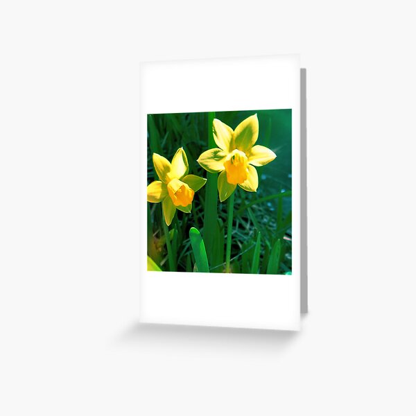 Item preview, Daffodil pair designed and sold by KayBeeDoubleYou.