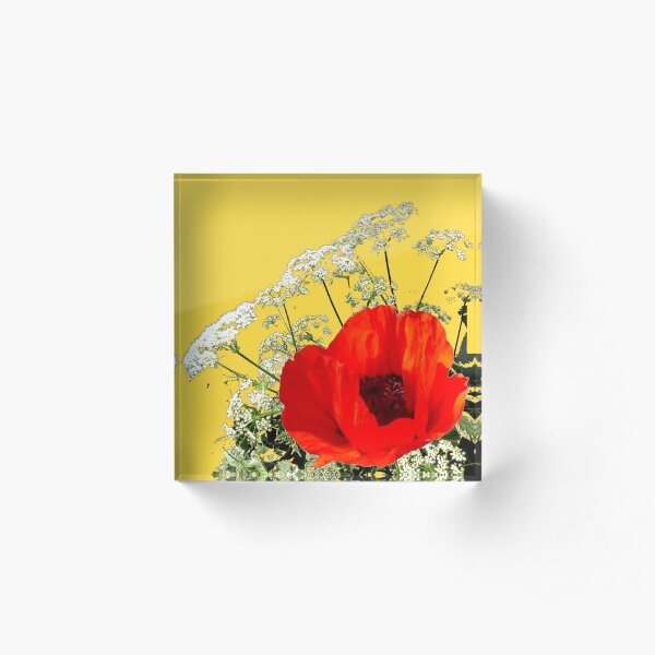 YELLOW GARDEN POPPY & LACE FLOWERS Acrylic Block