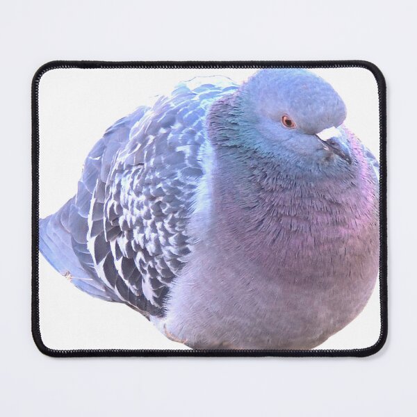 Item preview, Fat Pigeon designed and sold by zigzarch.