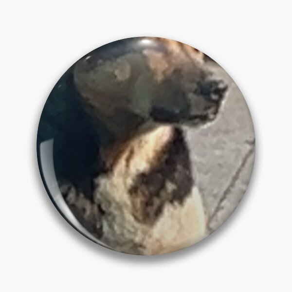 Item preview, Just a sad dog designed and sold by funnytazz.