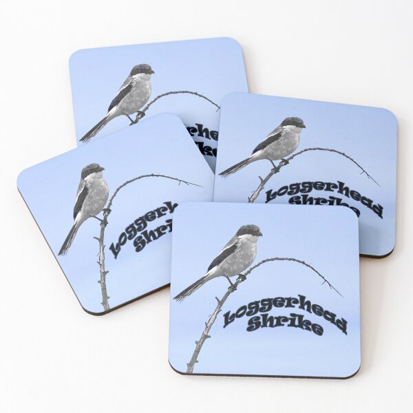 Item preview, Loggerhead Shrike designed and sold by CarolM.