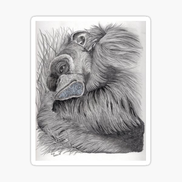 Item preview, Tammy The Chimp designed and sold by LisaGreenStudioLLC.