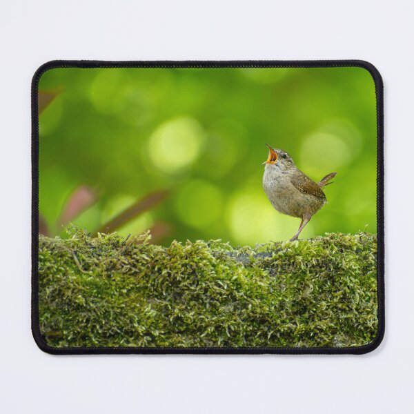 Item preview, Song of the Wren designed and sold by Still Wild.