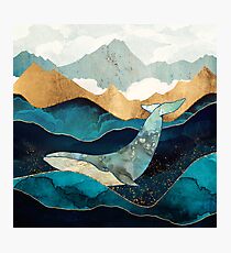 Blue Whale Photographic Print