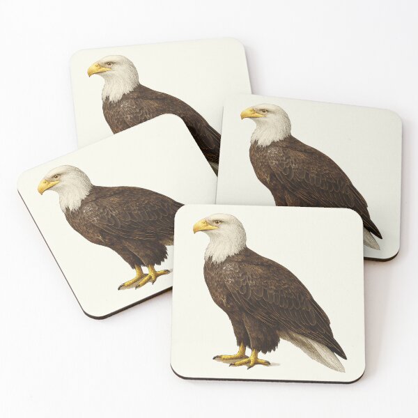 Item preview, Bald Eagle Iconic US Illustration Style Artwork designed and sold by kakarikihill.