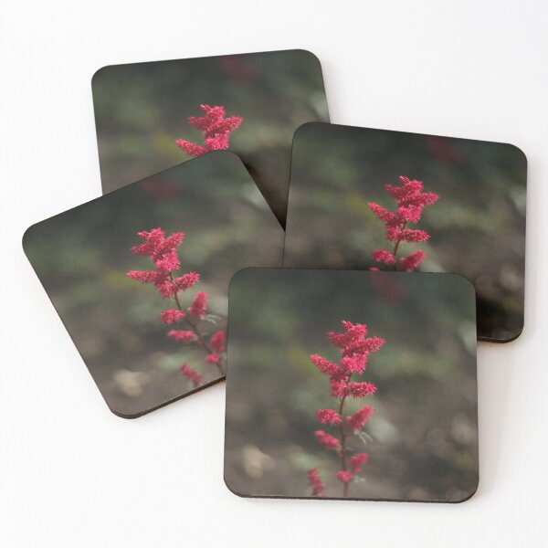 Item preview, red flower (Astilbe chinensis) designed and sold by Robert4562.