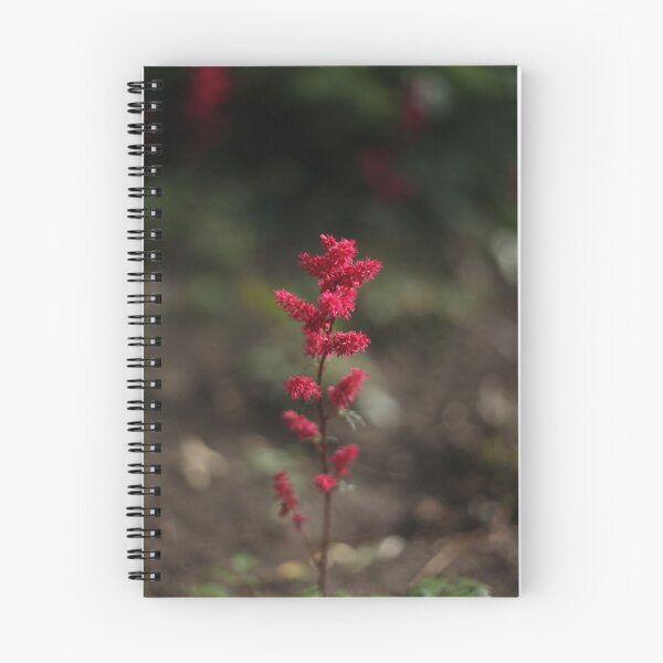 Item preview, red flower (Astilbe chinensis) designed and sold by Robert4562.