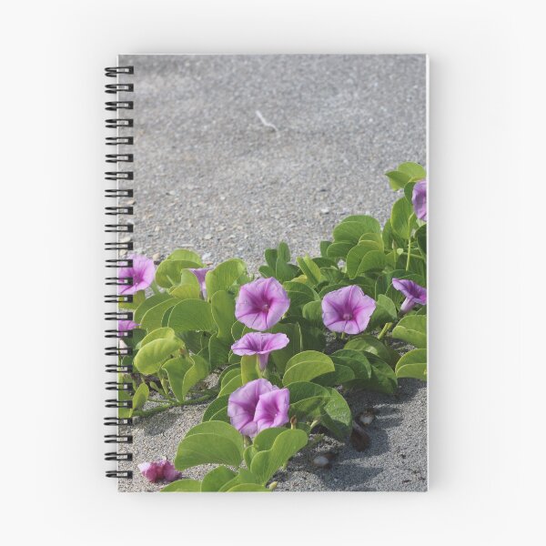 Artikelvorschau, Blumen am Strand entworfen und verkauft von Jmb67.