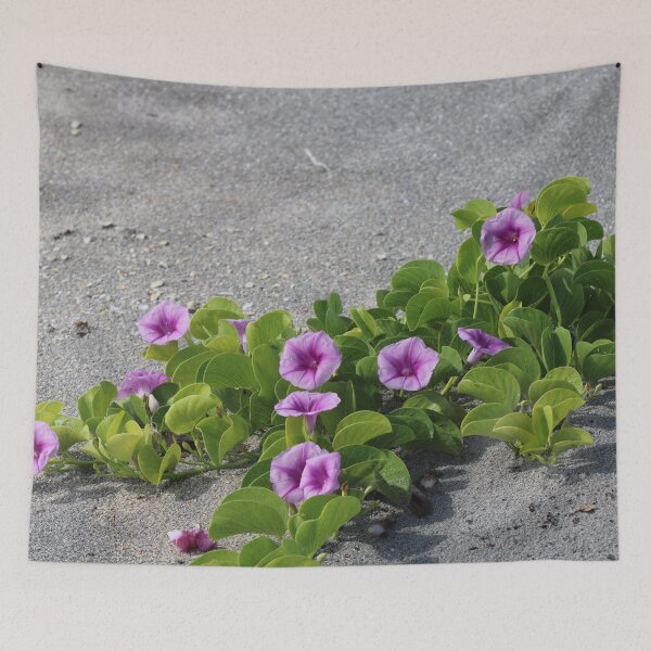 Item preview,  flowers at the beach designed and sold by Jmb67.