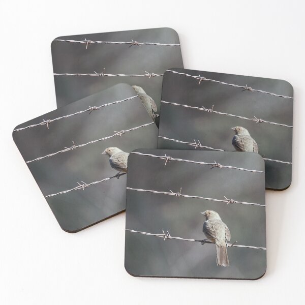 Item preview, California Towhee on Barbed Wire designed and sold by CarolM.