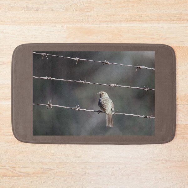 Item preview, California Towhee on Barbed Wire designed and sold by CarolM.