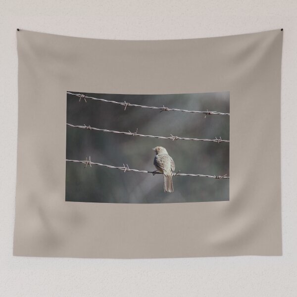 Item preview, California Towhee on Barbed Wire designed and sold by CarolM.