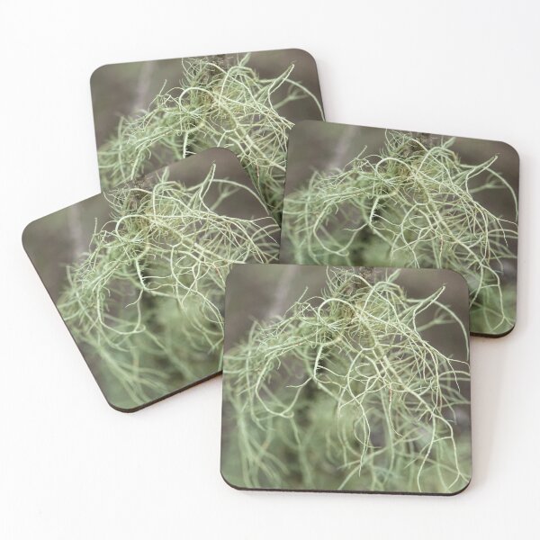 Item preview, lichen threads designed and sold by Esther Frieda.