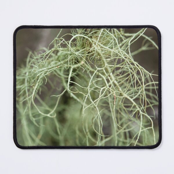 Item preview, lichen threads designed and sold by Esther Frieda.