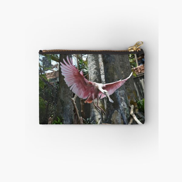 Item preview, Spoonbill designed and sold by Morgan Frantes.