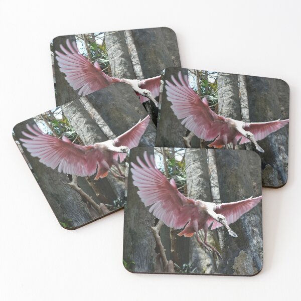 Item preview, Spoonbill designed and sold by Morgan Frantes.