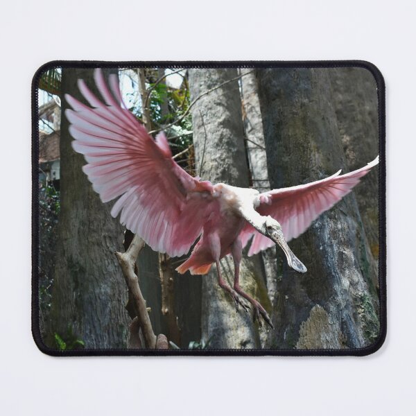 Item preview, Spoonbill designed and sold by Morgan Frantes.