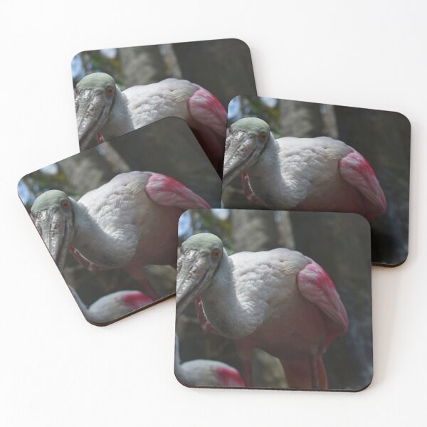 Item preview, Spoonbill designed and sold by Morgan Frantes.